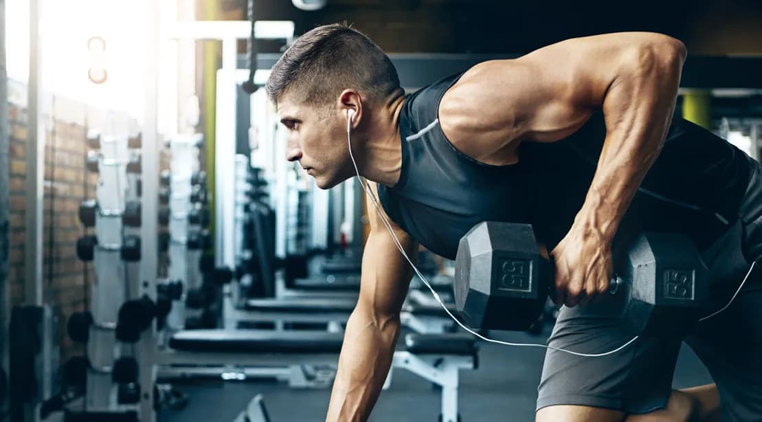 Fitnesia Training